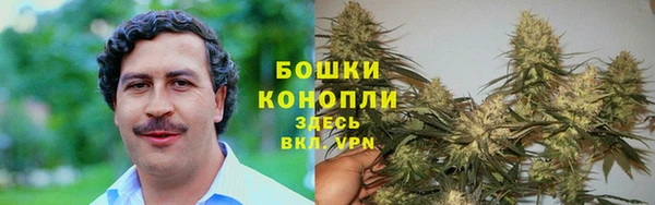герыч Бронницы