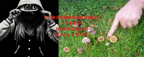 a pvp Бугульма