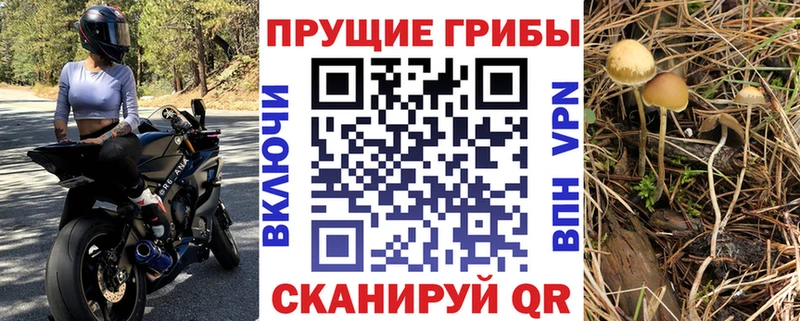 где продают   Саратов  Галлюциногенные грибы ЛСД 